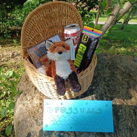 A wicker basket on a large rock beside some bushes with a path in the background. Sticking out of the basket are a DVD of Treasure Planet, a plush fox, a can of Rockstar Energy, and a pack of glow sticks. A handwritten paper sign in front of the basket reads "To: Opossums, from: Shetani" with star and mountain embellishments.
