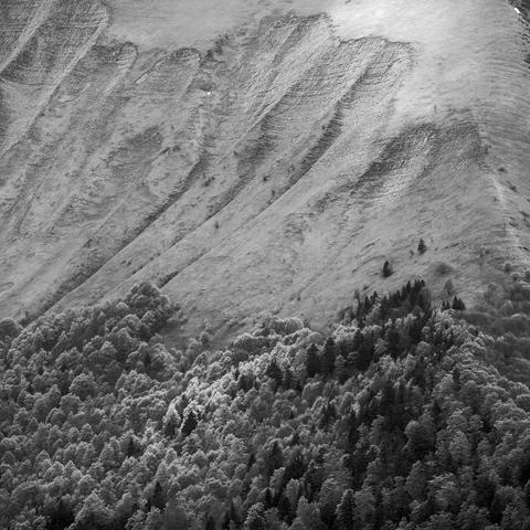 Photo noir et blanc de montagne.
En altitude la prairie se transforme en pierriers de ravinement.
En bas la foret moutonne d'arbres.
Deux rais de lumière frappe l'un la prairie, l'autre quelques arbres.
On aperçoit deux minuscules névés.