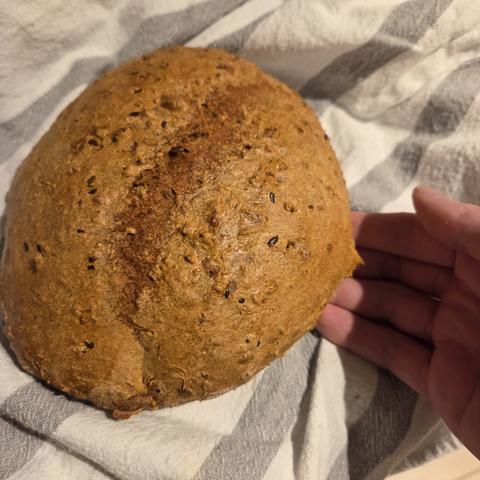 Vielkornbrot mit guter Kruste