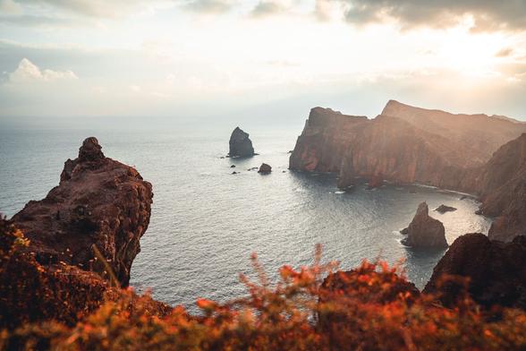 Dramatic coastal landscape with rugged, reddish-brown cliffs jutting into the calm, blue sea. In the foreground, some plants with reddish foliage are visible. The sky is partly cloudy, and the sun casts a warm, golden light over the scene, creating a striking contrast between the rocks and the water.