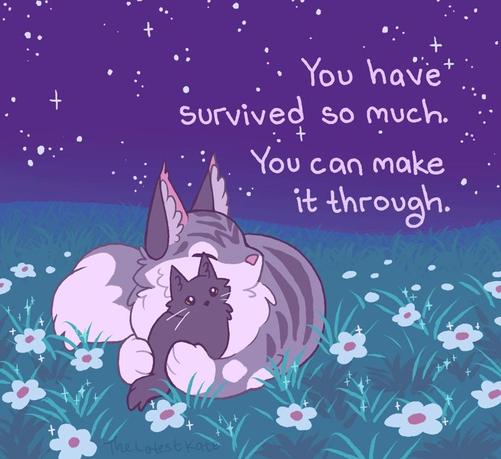 A drawing of a momma cat hugging her kitten under the stars. The caption reads, "You have survived so much. You can make it through."