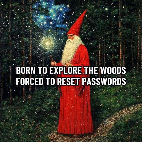 An image of a wizard, dressed in red, complete with long flowing robes, pointy hat and magic wand, walking at night on a small path through a mystical forest filled with glow worms.

The caption is: "Born to explore the woods. Forced to reset passwords".