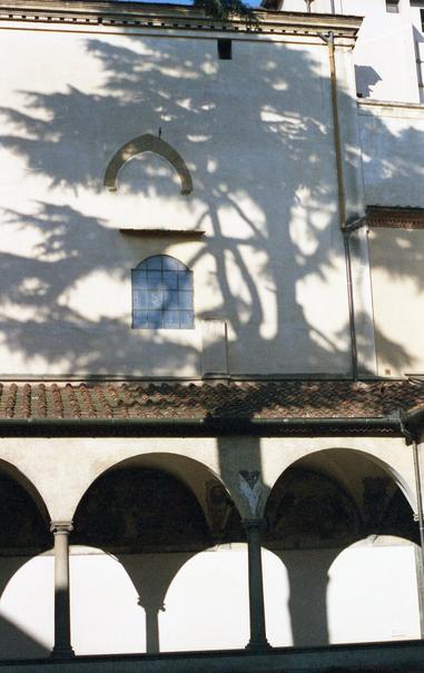 The shadow of a (cedar?) tree against the facade of a building