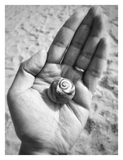 Monochrome photo of a small round seashell with a swirling pattern of dark and light spirals. It’s cupped in the palm of a left hand with a wedding ring, against an unfocused backdrop of sand on a beach.