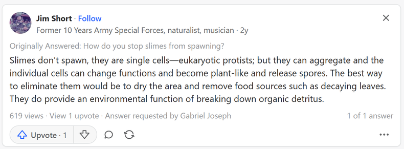 Jim Short

Former 10 Years Army Special Forces, naturalist, musician 

2 years ago

Originally Answered: How do you stop slimes from spawning?

Slimes don’t spawn, they are single cells—eukaryotic protists; but they can aggregate and the individual cells can change functions and become plant-like and release spores. The best way to eliminate them would be to dry the area and remove food sources such as decaying leaves. They do provide an environmental function of breaking down organic detritus.