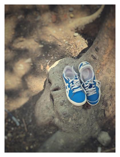 A pair of abandoned blue child-size sneakers with untied white laces perched on a lumpy tree root, off-center towards right frame, amid the soil of a sidewalk tree bed. The position of the shoes suggests a child’s pose of shyness (feet together, nervously scuffing against each other). The shoes are in focus while their surroundings are relatively blurred.