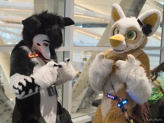A black and white german shepherd fursuiter and a white and tan fox fursuiter wearing a bow, each with palm facing inward, and two index fingers touching as if shy or embarrassed. The german shepherd fursuiter is looking down while the fox fursuiter is looking at the viewer. Both are standing on an interior bridge looking over an exhibition hall.