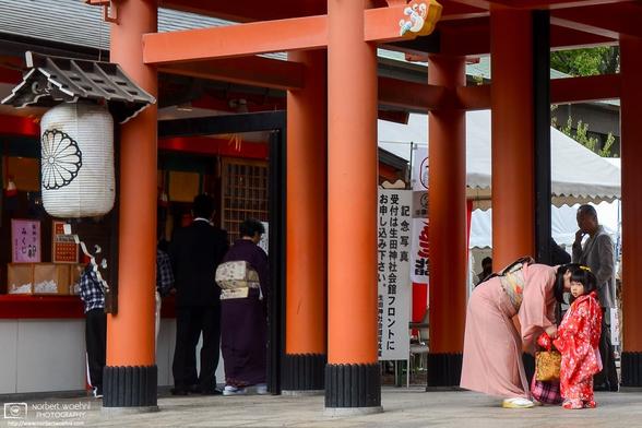 A scene from Shichigosan at Ikuta Shrine in Kobe, Japan.