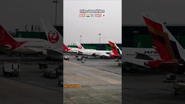 Flying Japan Airlines Delhi to Tokyo #travel #fly #japan #tokyo #vacation #japanairlines
