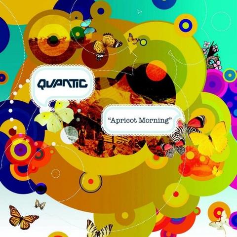 Cover: Quantic - Wider Than The Sky