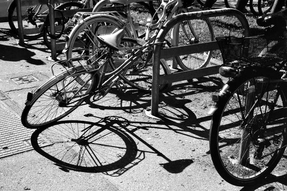 The black and white image shows a cluster of bicycles parked at a bike rack on a sidewalk, with one bicycle tipped over, casting sharp shadows on the pavement in bright sunlight.