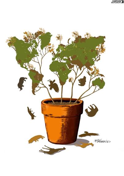 Cartoon showing a potted plant shaped like the world's continents, some still green, but large parts brown. Brown leafs in the shapes of different animals are falling out.