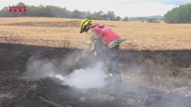 Els focs que comencen en terrenys agrícoles sovint salten als boscos pròxims (Agents Rurals)