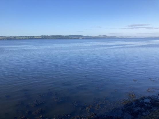 View across Tay Firth the seaweed visible in the foreground and the expanse of water quietly sits under a clear sky