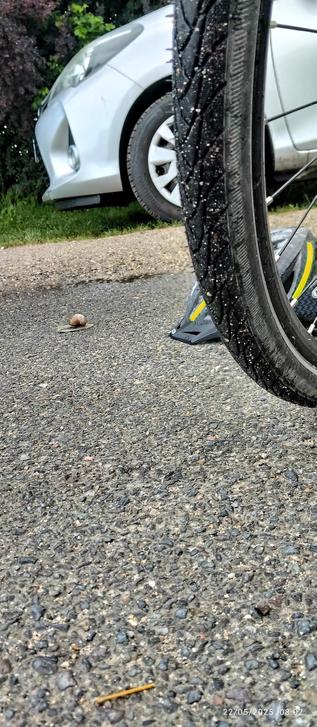 Un avant de voiture en arrière plan, un escargot au centre et une roue de vélo, le tout presque aligné