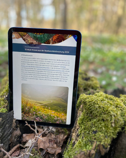 EIn Tablet steht in einen Baumstumpf eingesteckt in einem Wald. Der Baumstumpf ist mit Moos bewachsen. Auf dem Tablet sieht man die Flora-Story zu den 10 Must-Knows. Im Hintergrund ist verschwommen ein lichter Buchenwald zu erkennen, Buschwindröschen bedecken den Waldboden.