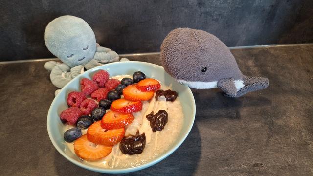 Reisewali und der kleine Oktopus mit einem Porridge getoppt mit Mandelnmus und Haselnuss-Dattelmus, Erdbeeren,  Himbeeren und Blaubeeren