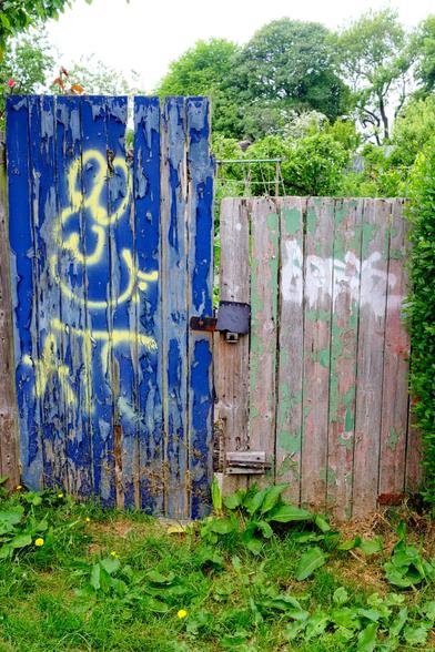 This photograph captures two adjacent, weathered wooden gates, each with distinct character. The left gate, painted blue and boldly graffitied in yellow, peels dramatically to reveal aged wood beneath—vivid and expressive. The right gate is softer, with faded green and pink paint barely clinging on, overlaid with faint white graffiti. A rusty latch connects the two. Behind them, lush greenery hints at a hidden garden. The scene contrasts decay with vitality, rebellion with retreat. Together, the gates suggest personalities shaped by time and neglect, standing as accidental artworks and quiet sentinels at the threshold of something unseen but living.