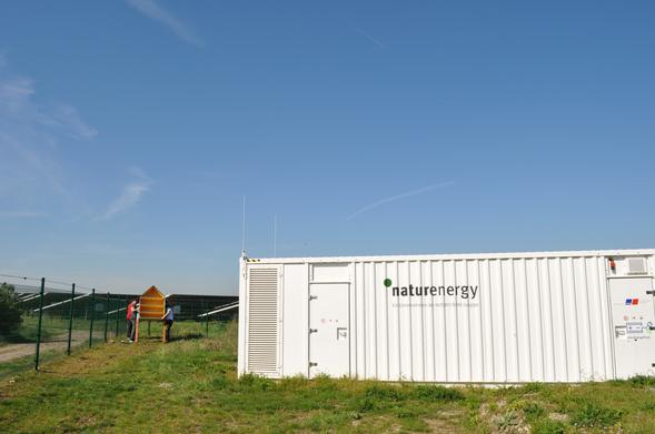 Ein weißer Container mit der Aufschrift "naturenergy – Ein Unternehmen der NATURSTROM-Gruppe" steht auf einer Wiese. Im Hintergrund montieren zwei Personen ein großes Insektenhotel an einem Zaun in der Nähe eines Solarparks.