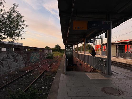 Ein leerer Bahnhofsbahnsteig in der Abenddämmerung mit einem schmiedeeisernen Geländer und Wegbeschreibungsschildern. Auf der einen Seite sind überwuchertes Gras und verlassene Schienen zu sehen, zusammen mit Graffiti an einer nahe gelegenen Wand. Eine Person steht auf einem langweiligen Bahnsteig.