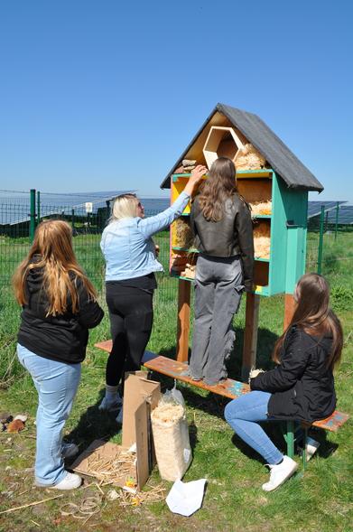 Vier junge Frauen befüllen bei sonnigem Wetter ein großes, bunt bemaltes Insektenhotel mit Stroh und Holzmaterialien. Sie stehen oder sitzen auf einer Holzbank, während sie die Fächer des Hotels mit Nistmaterial ausstatten. Im Hintergrund sind Solarpaneele zu sehen, die auf einer grünen Wiese installiert sind.
