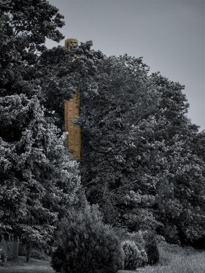Alt Text von ChatGPT erstellt:

Auf dem Foto ist ein alter, hoher gemauerter Turm zu sehen, der größtenteils von dichten Bäumen und Sträuchern umgeben ist. Der Turm besteht aus roten Ziegelsteinen und ragt über das Blätterdach hinaus. Die Umgebung wirkt überwuchert und verlassen, was dem Bild einen geheimnisvollen und leicht verwunschenen Charakter verleiht.
