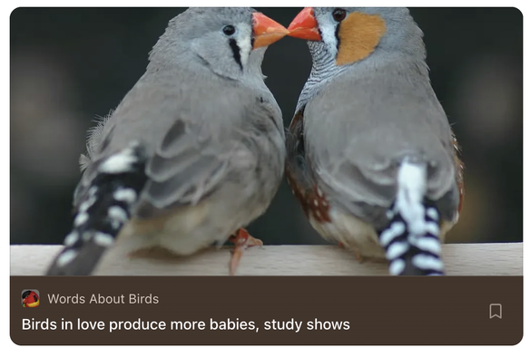 a pair of zebra finches, sitting beak-to-beak