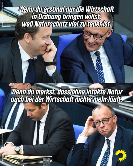 Auf dem Motiv sind auf zwei übereinander platzierten Bildern der Bundeskanzler Friedrich Merz und der Vizekanzler und Finanzminister Lars Klingbeil im Plenum des Deutschen Bundestags zu erkennen. Auf dem oberen lächeln sich beide Männer konspirativ zu. Darüber steht: „Wenn du erstmal nur die Wirtschaft in Ordnung bringen willst, weil Naturschutz viel zu teuer ist.“ Auf dem unteren sitzen beide voneinander abgewandt und schauen betreten. Darüber steht: Wenn du merkst, dass ohne intakte Natur auch bei der Wirtschaft nichts mehr läuft.“ Am unteren rechten Bildrand ist die gelbe Sonnenblume der Grünen Bundestagsfraktion zu erkennen.