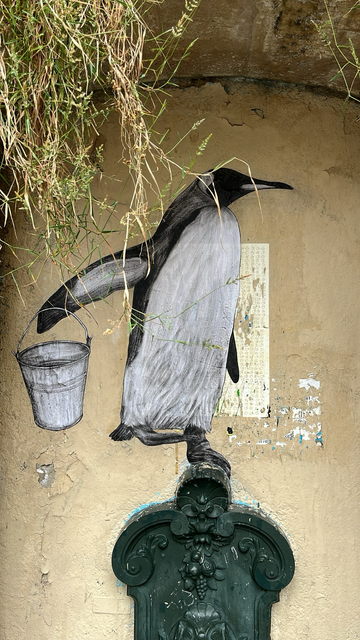 Manchot empereur portant un seau. Debout sur un pied sur le dessus de la fontaine. En noir et blanc collé sur le mur beige et repeint de multiples fois par la mairie. Des herbes tombent du mur végétal (que l'on ne voit pas) devant le haut du manchot.
