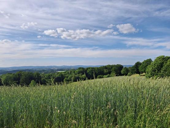 Blick vom Homberg nördlich von Herford Richtung Nord, also nach Löhne. Im Hintergrund das östliche Wiehengebirge.