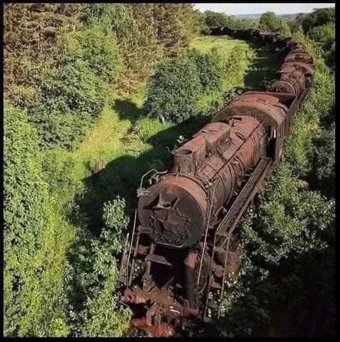 Eine uralte Kohlelokomotive mit Waggons. Total verrostet und ringsum mit Büschen zugewachsen.