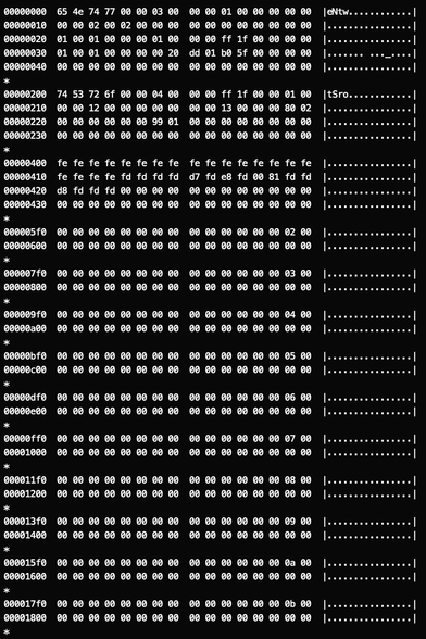 Dump of Newton disk. Header