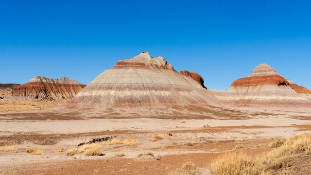 Orange, beige, and slight pinks are exposed in rock face mountains in a desert landscape. The sky is bright blue during the spring time in Arizona.

Source for caption: https://www.nps.gov/pefo/learn/nature/geologicformations.htm