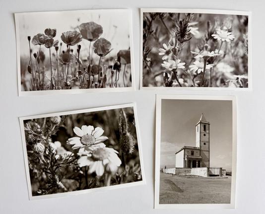 Four black and white darkroom photo prints laid out on a work-top. Three are of flowers and the fourth is of a church on the coast.