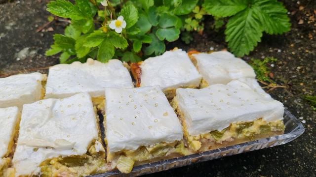 Tablett mit zwei Reihen kuchenstücke auf dem Boden vor einer Erdbeerpflanze, die grad blüht.