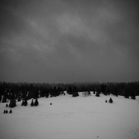 De la neige, de la foret et c'est tout…