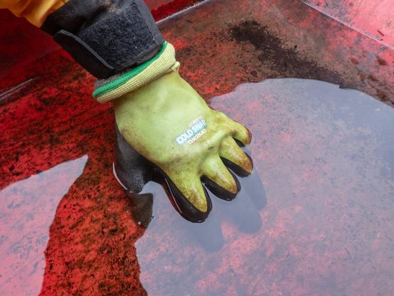 Yellow and black gloved hand partly submerged in water inside a red wheelbarrow.