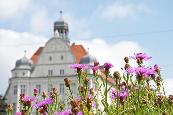 Ein Gebäude am Borsigplatz ist vom Weiten zu sehen. Im Vordergrund steht die Wiese des Kreisverkehrs: Viele Blumen sprießen auf dem Platz.