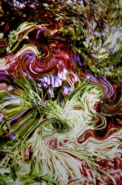 Colour portrait format of a bunch of bluebells on a forest bank that has been criminally distorted into swirling whirls. It looks weird ad tense, but ultimately futile.