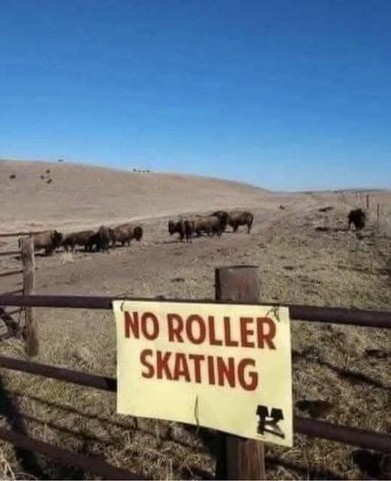NO roller skating sign. Rough terrain with cows.