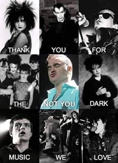 8 black and white photos of dark wave/goth bands. In a 3x3 grid with a colour photo of Morrissey in the middle. 
The photos spell "thank you for the dark music we love". With Morrissey labeled "not you"