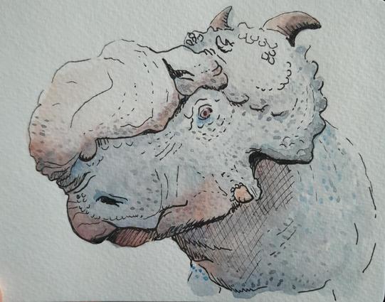 Dinosaur head facing left , pachorhinosaurus based on 3d model