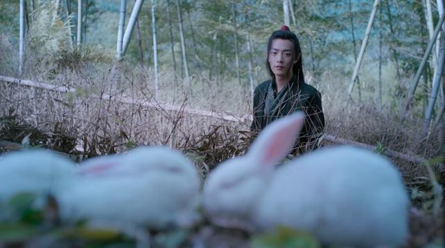 A pair of out focus bunnies are in the foreground, lying face to face and nearly nuzzling noses. Wei Wuxian stands a distance away from turn, watching them with a faint, wistful smile.