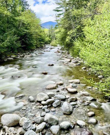 Photo looking upstream of a river that has a mountain peak off in the distance.  Water is rushing around large gray boulders in the river and green trees line the banks on each side.

Franconia Brook as viewed from footbridge that connects Lincoln Woods Trail and Franconia Brook Trail.