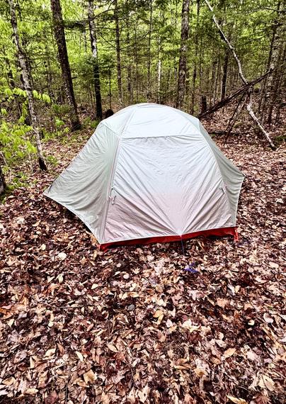 Photo of tent in green forested area.  The tent is located on a flat section of ground that is covered with leaves.  Trees are immediately behind the tent.  The tent has gray material (rain fly) over an orange base (the orange seen is the bathtub floor at base of netted inner tent).

Big Agnes Copper Spur HV UL3 Long tent with ground tarp underneath.  With no wind, only four stakes are used-- one each for the two vestibules shown on left/right sides, and one each on the other sides to stretch the rain fly over the inner tent (one is shown in the foreground).
