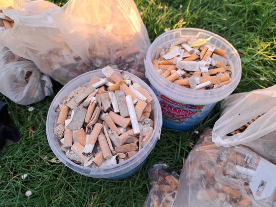 Nahaufnahme von mehreren Tüten und zwei Plastikeimern, die jeweils voll mit Zigarettenkippen sind. (Foto: Klaus Kurtz)