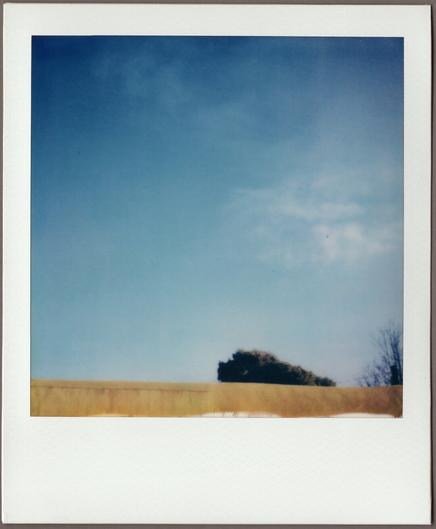 Polaroid, almost all light blue sky with a touch of clouds, at the bottom, a narrow brown strip of a roofline with a bit of tree peeking above it.