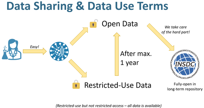A diagram showing how users can easily upload data to Pathoplexus and choose to share this as 'Open data' which can be used by other without restriction, or 'Restricted-use' data which requires permission to publish or preprint on. Restricted-use data can be restricted for up to 1 year, after which it becomes Open, and is always available to view. Open data is automatically submitted to INDSC (Genbank, ENA, DDBJ) by Pathoplexus on behalf of the submitter.