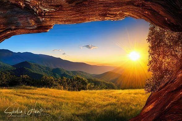 Golden light sunrise over Blue Ridge Mountains and Appalachian landscape with lush meadows, inspired by East Tennessee and NC. From the Fine Art Gallery of Shelia Hunt.