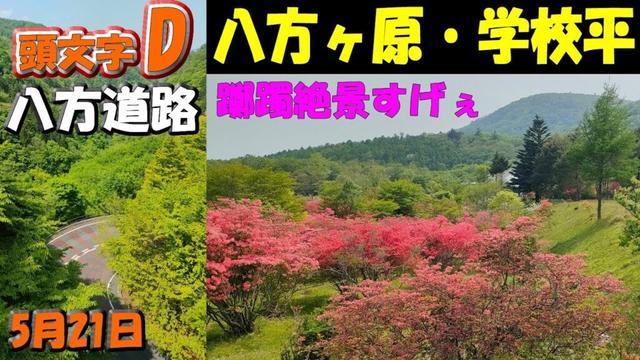 今オススメ！ツーリング＆ドライブスポット【八方ヶ原/学校平】頭文字Dの峠道～八方道路のツツジ絶景スポット(2025年5月21日撮影)　#栃木県 #頭文字d #ツツジ